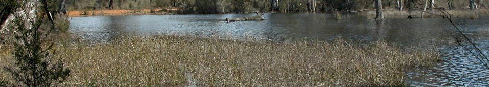 Grampians Personalised Tours & Adventures